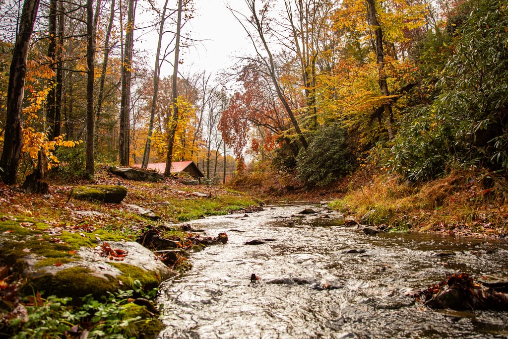 Stream beside the tent pavilion in autumn – Tent Pavilion at The Outpost NRG