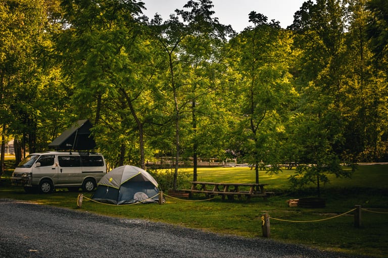 Creek-side Lower Outpost campsite with fire pit – Tent Sites at The Outpost NRG