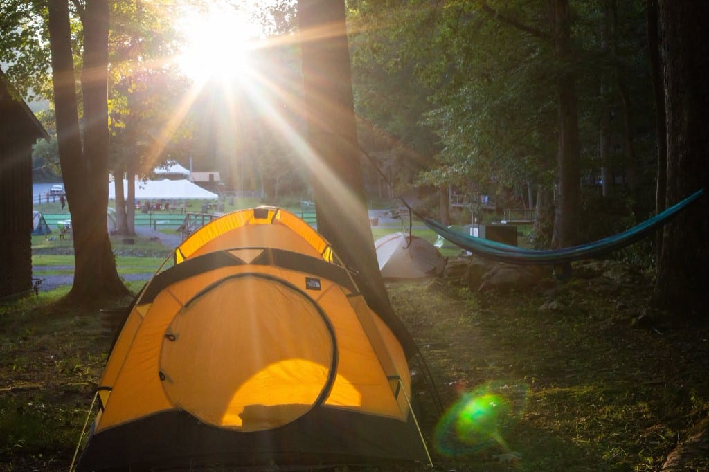 Sunrise through the trees over the tent field – Tent Sites at The Outpost NRG