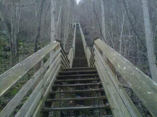 Legacy gallery image: Kaymoor Miners Trail 1